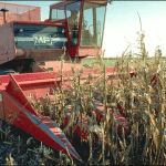 Sandblasting-corn-harvester